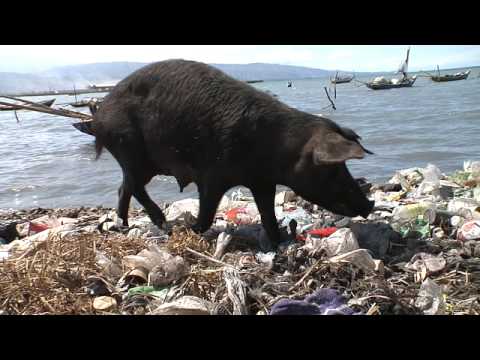 US diplomat demands we have to intervene in Haiti&nbsp;again