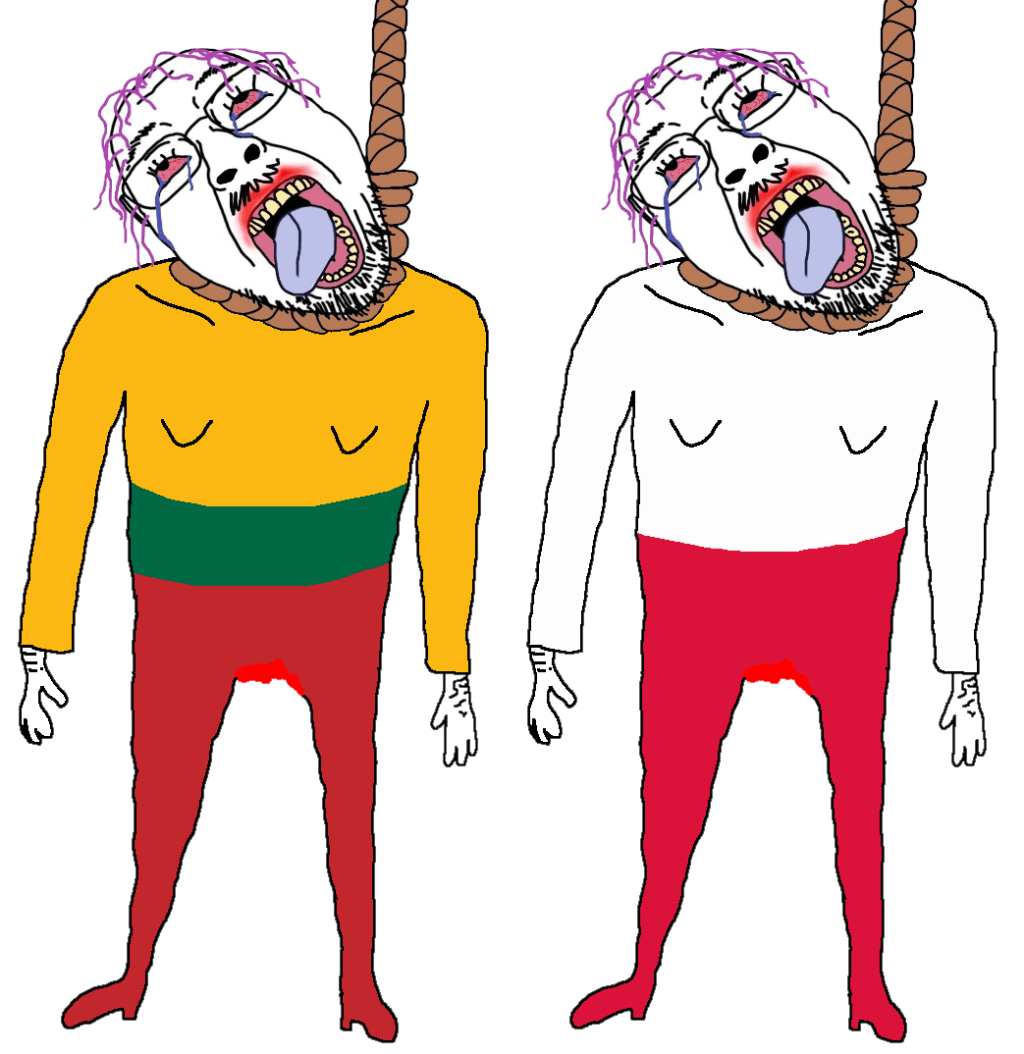 Lithuania joins Poland in sending men to die in the Ukrainian&nbsp;army