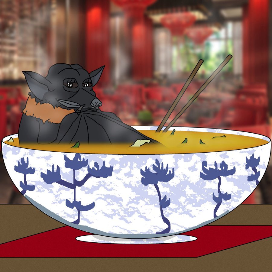 New disease from eating bats appears in the&nbsp;Congo