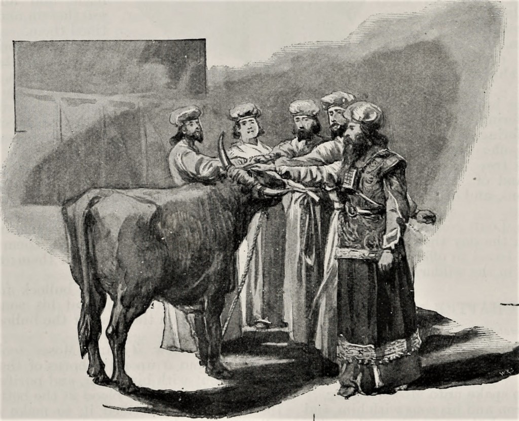 Red Heifers sent to Israel can’t be killed after being deemed “impure” by turd temple&nbsp;larpers